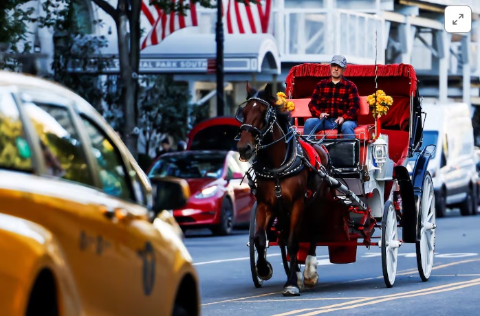 Nueva York aprueba el fin de los carruajes tirados por caballos